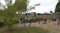 2018-09-29 Radacz, VII Rodzinny Festiwal Dyni